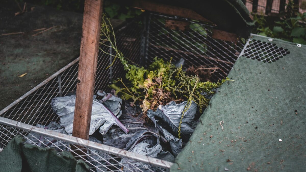 Composteren: zo maak je zelf compost