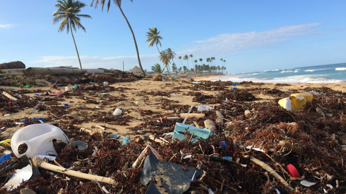 Plastic soep: oorzaken, gevolgen en wat jij kunt doen