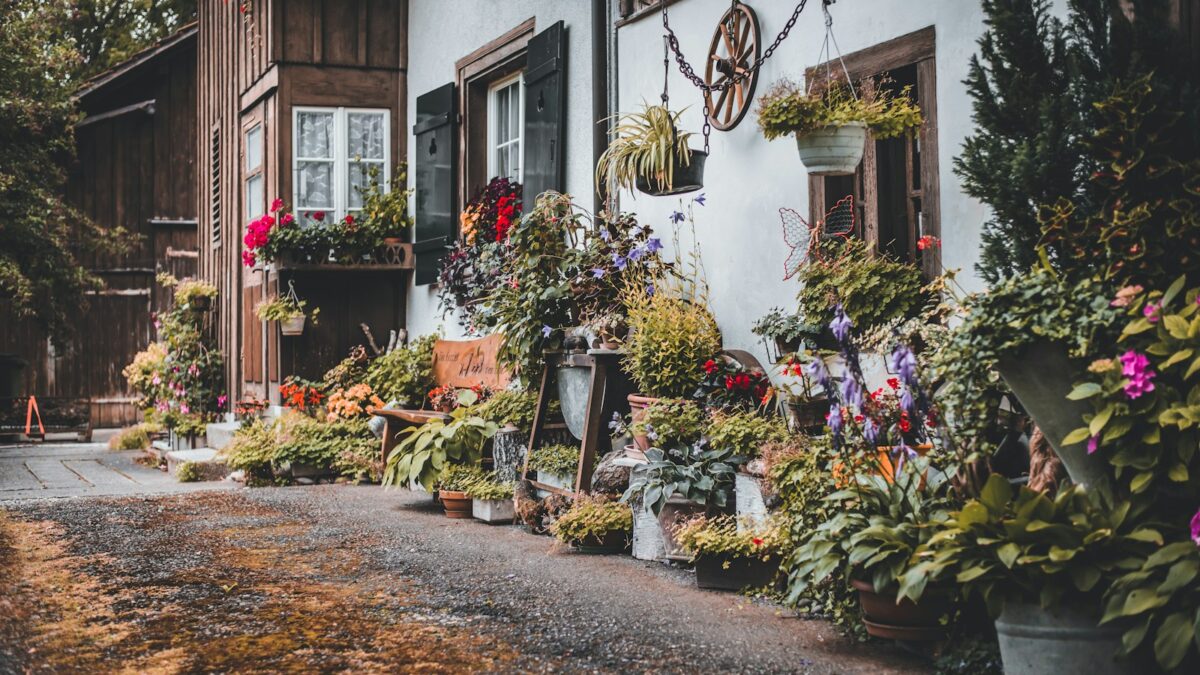 Geveltuin aanleggen: zo maak je je gevel groen